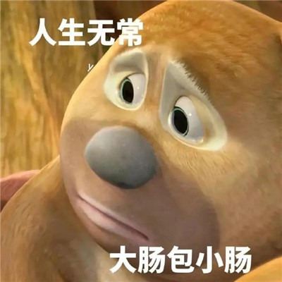网上很流行的趣味表情包