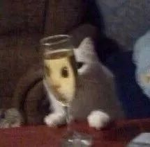 奇奇怪怪的沙雕情侣微信头像