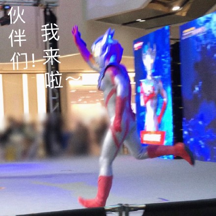 义乌主题店泰迦微信表情包