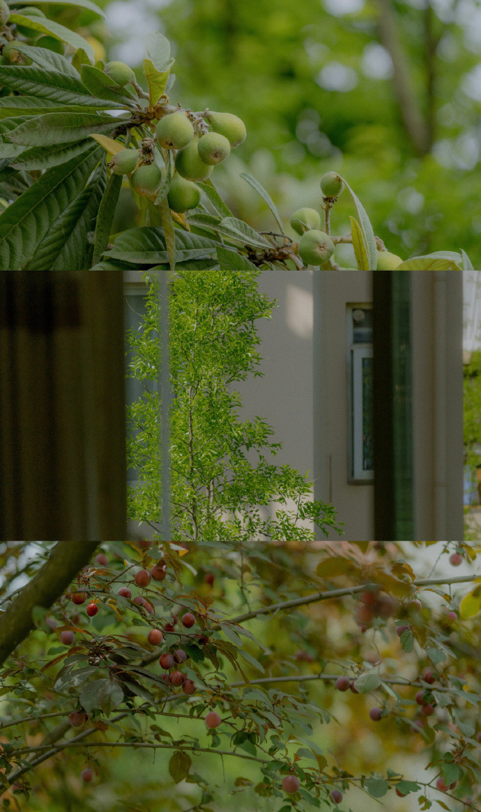 春的三屏清新聊天背景图