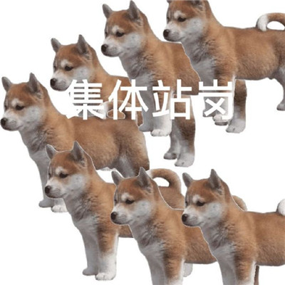 站岗小狗表情包合集