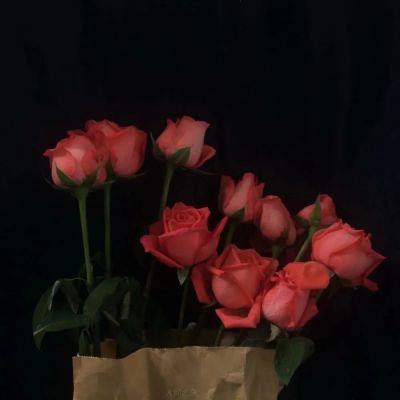 比较伤感的意境风景头像