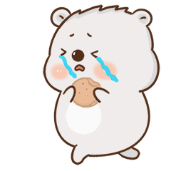 非常可爱的考拉小肉君微信表情包