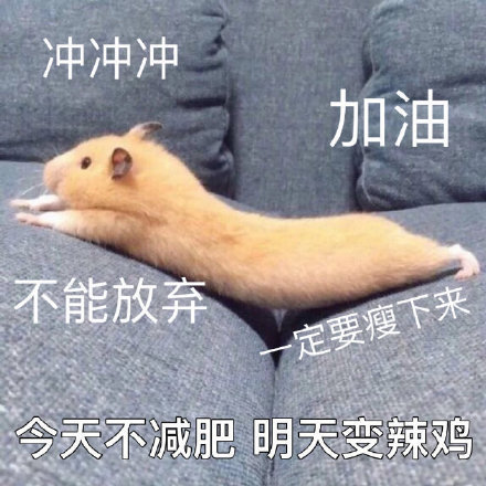 加油打气的励志微信表情包