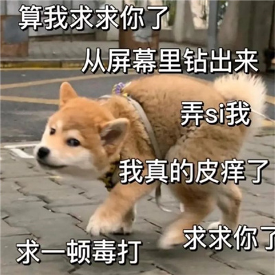 高情商怼人的幽默表情