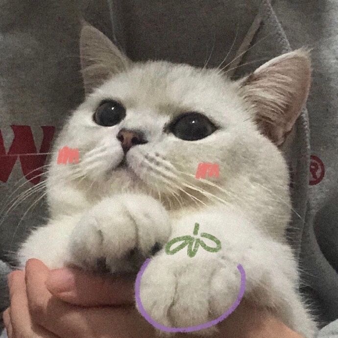 多风格个性微信头像